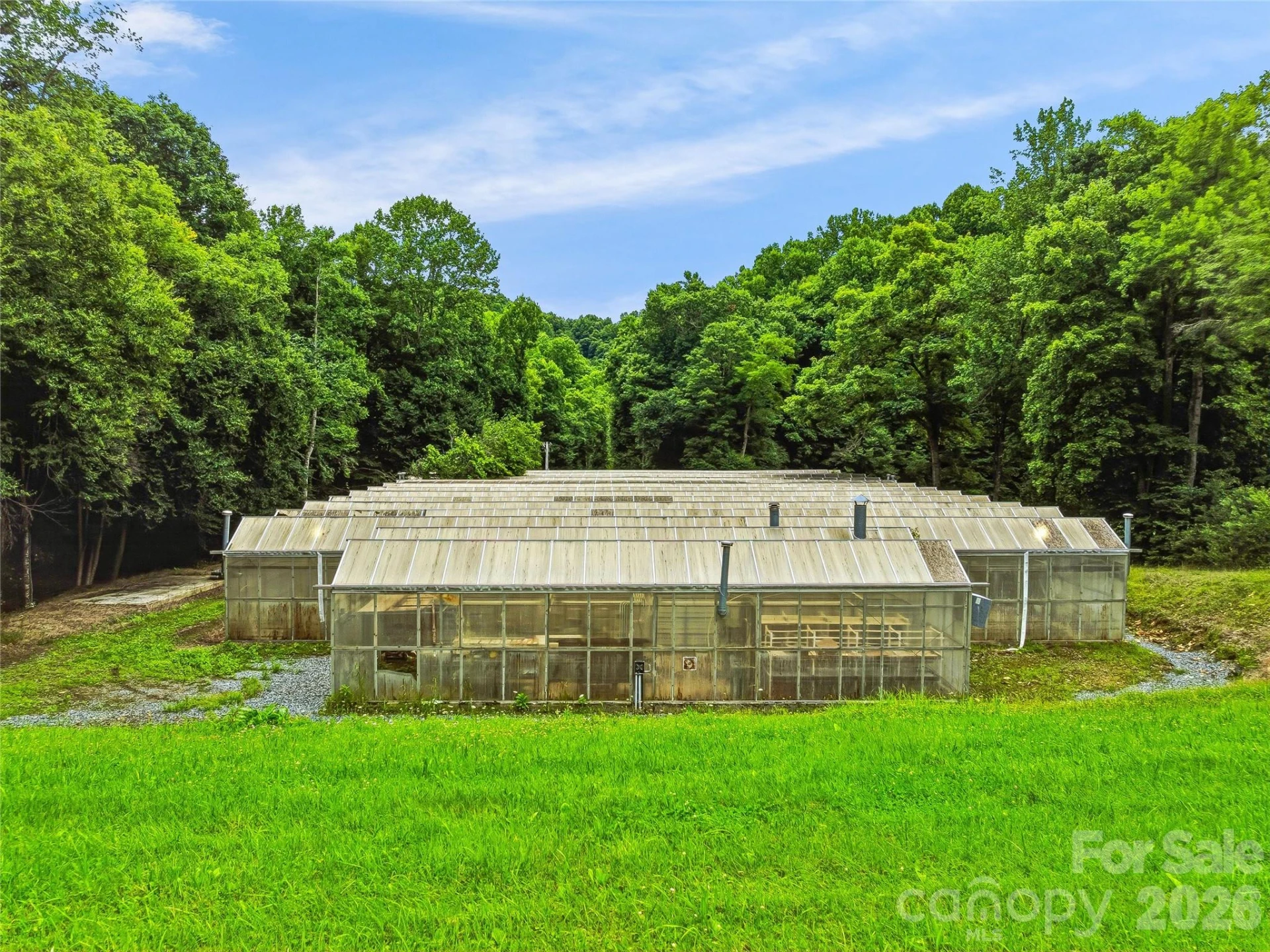 961 Wilson Branch Road - Photo 14