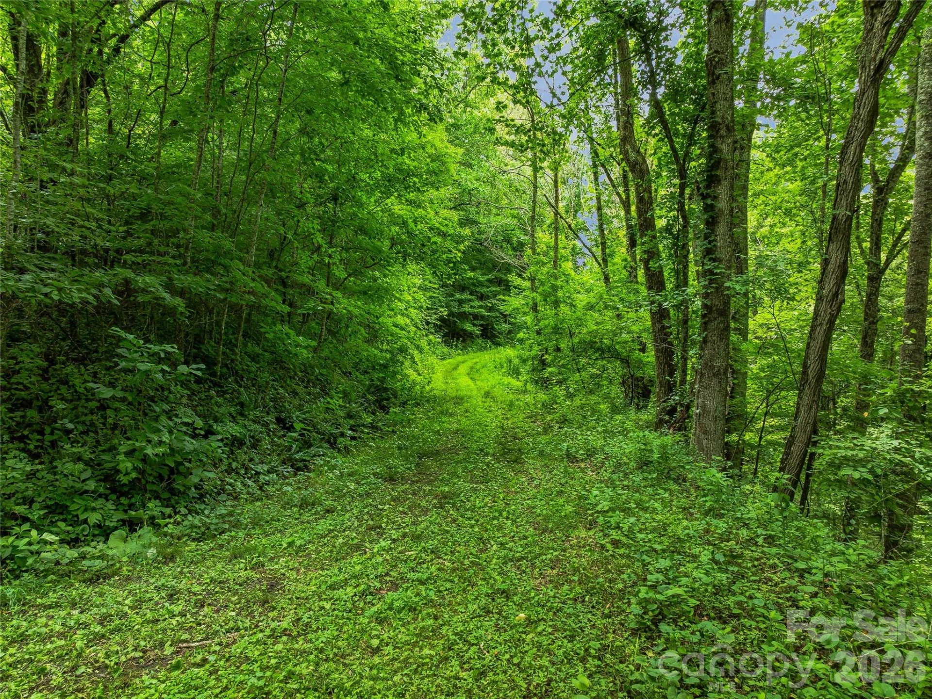 961 Wilson Branch Road - Photo 33