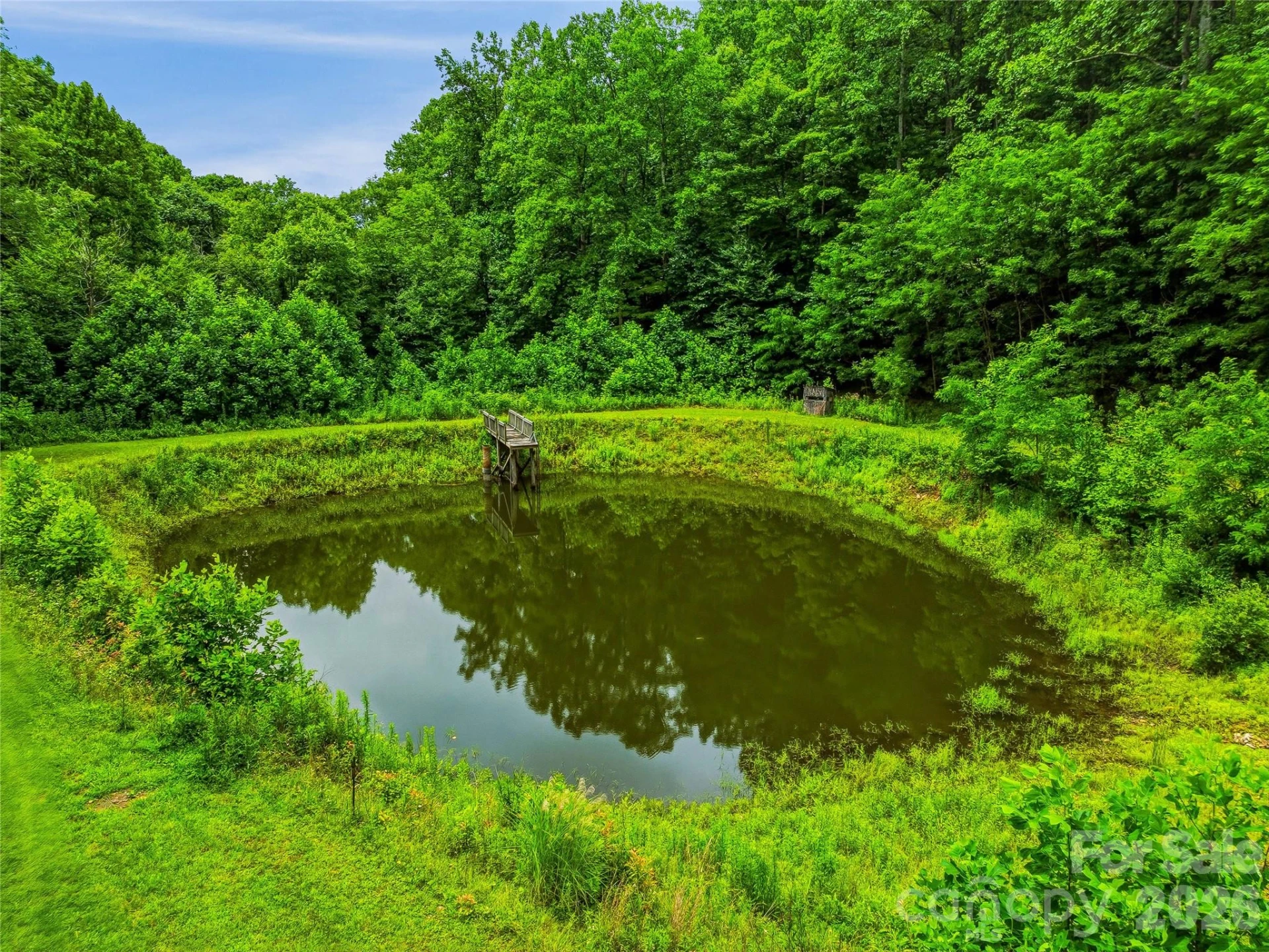 961 Wilson Branch Road - Photo 45