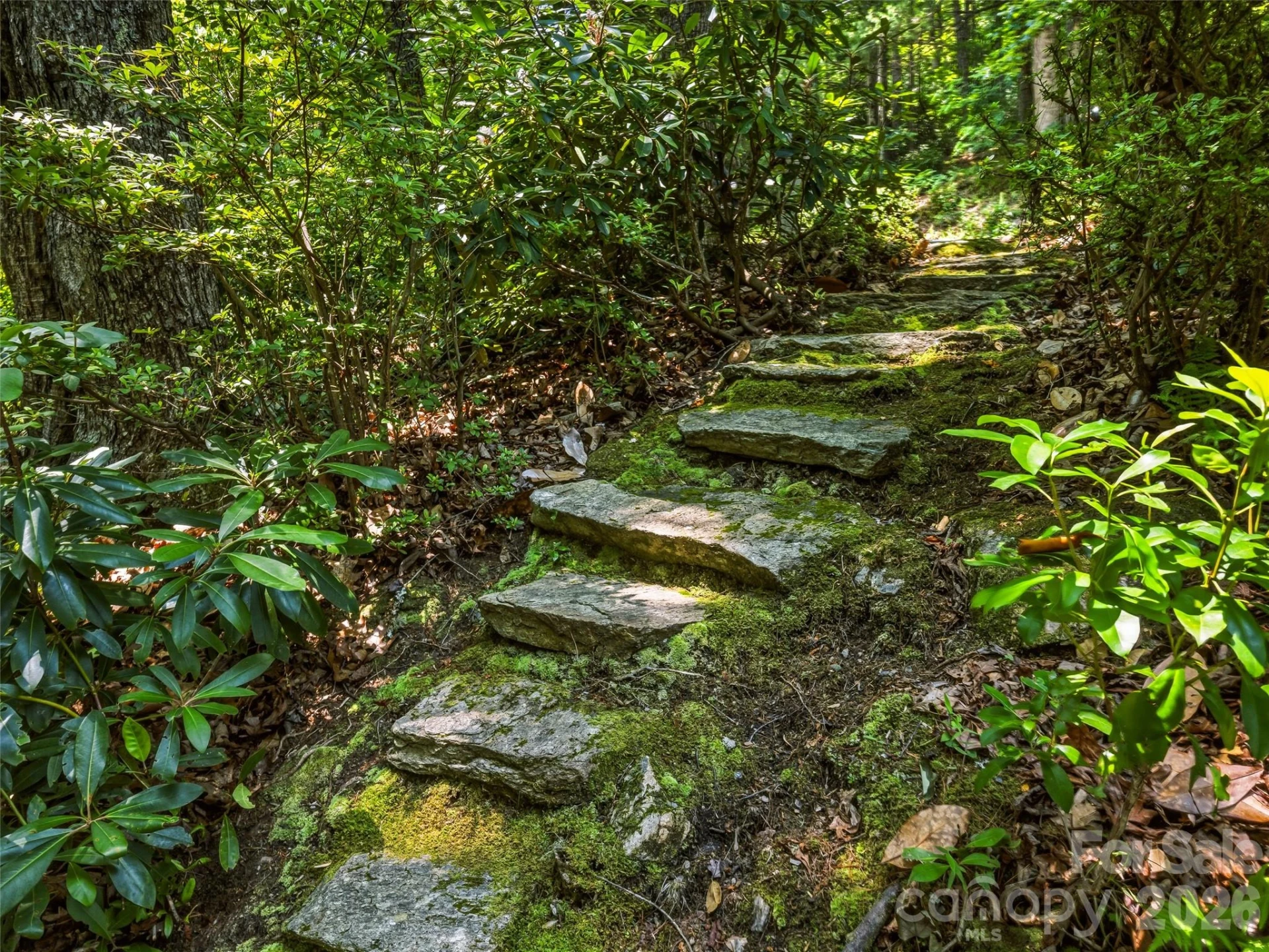 785 Pisgah Forest Drive - Photo 38
