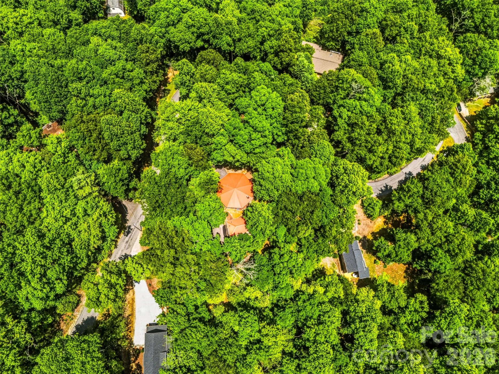 785 Pisgah Forest Drive - Photo 47