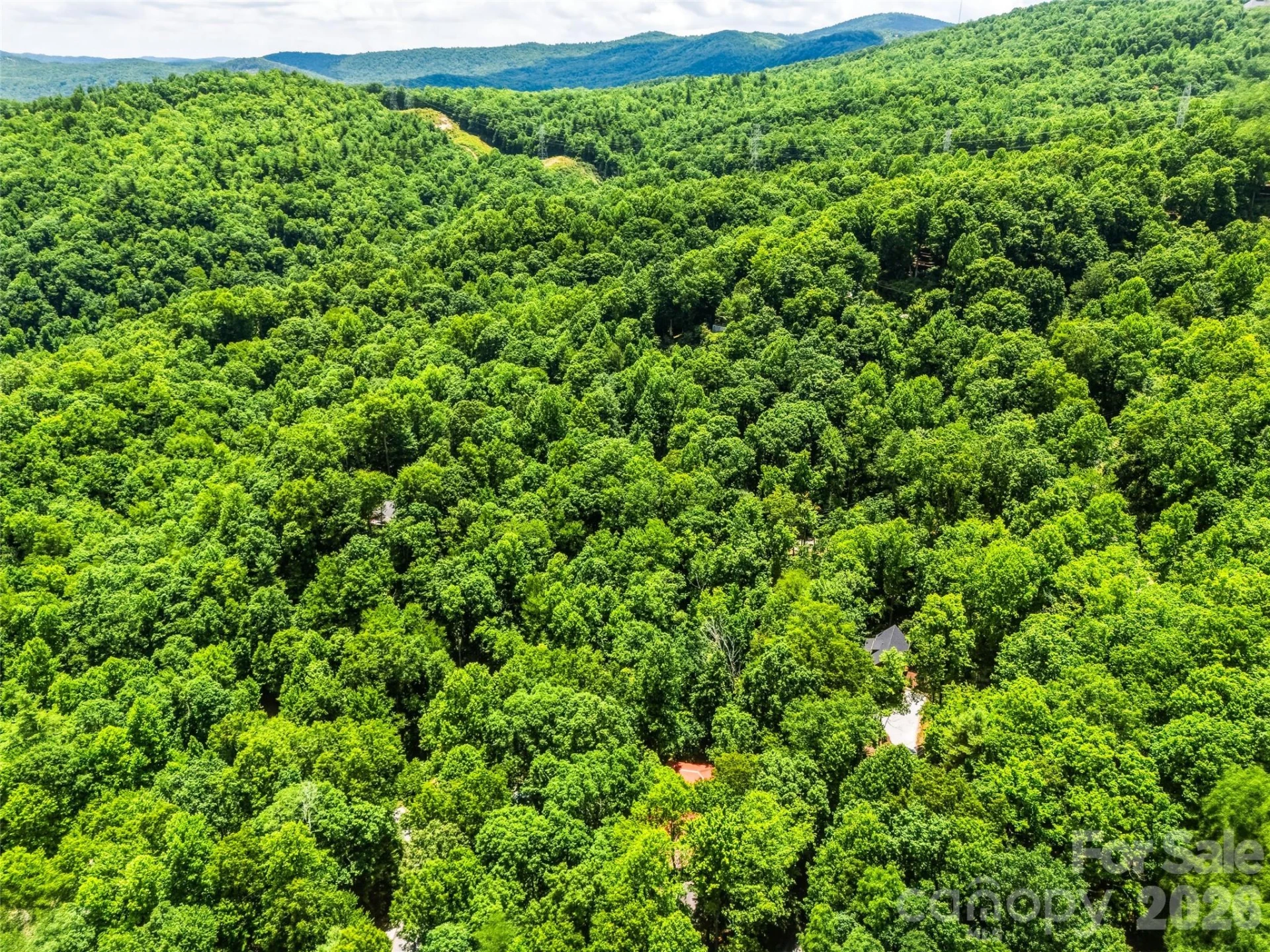 785 Pisgah Forest Drive - Photo 48