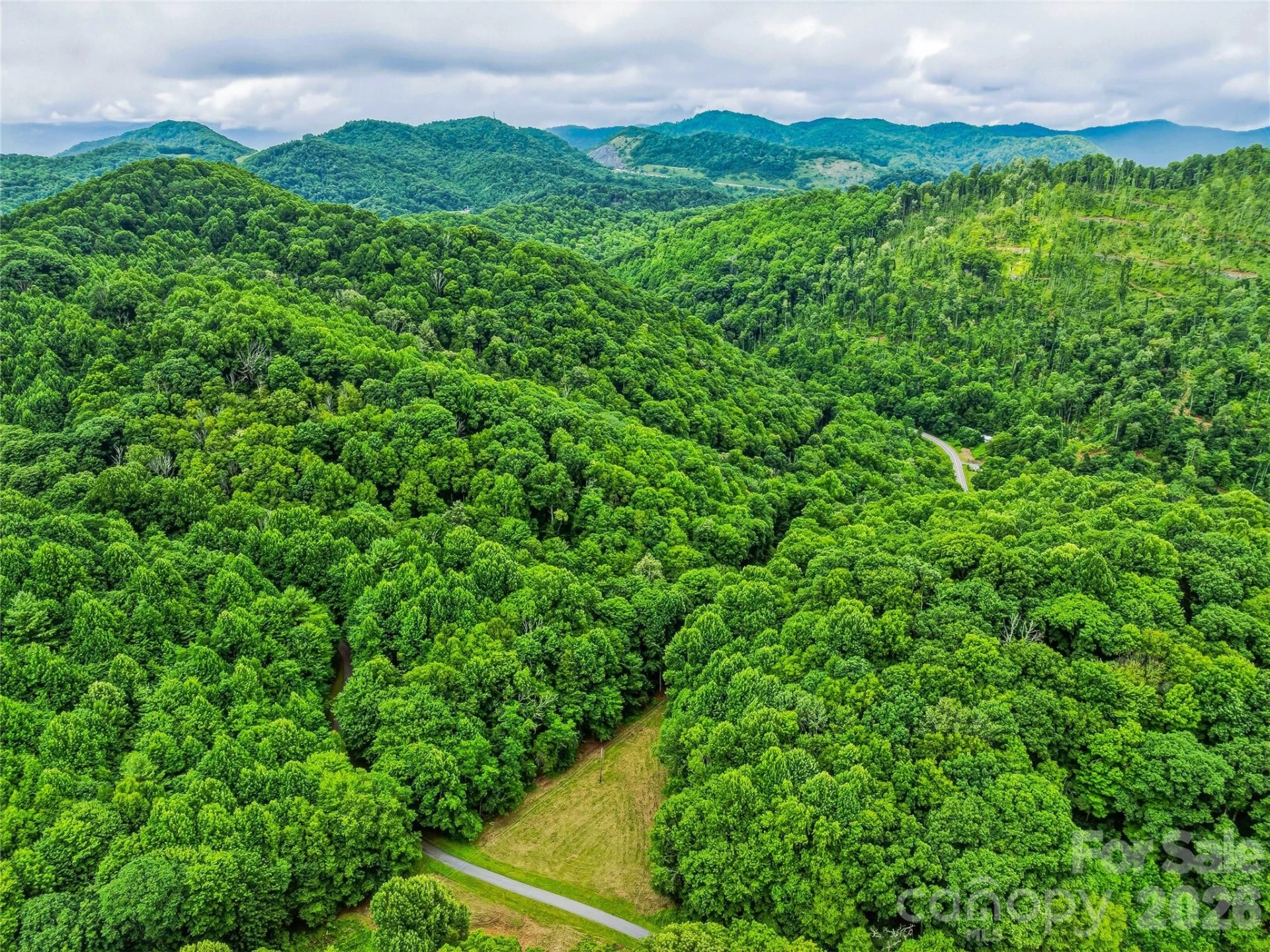961 Wilson Branch Road - Photo 14