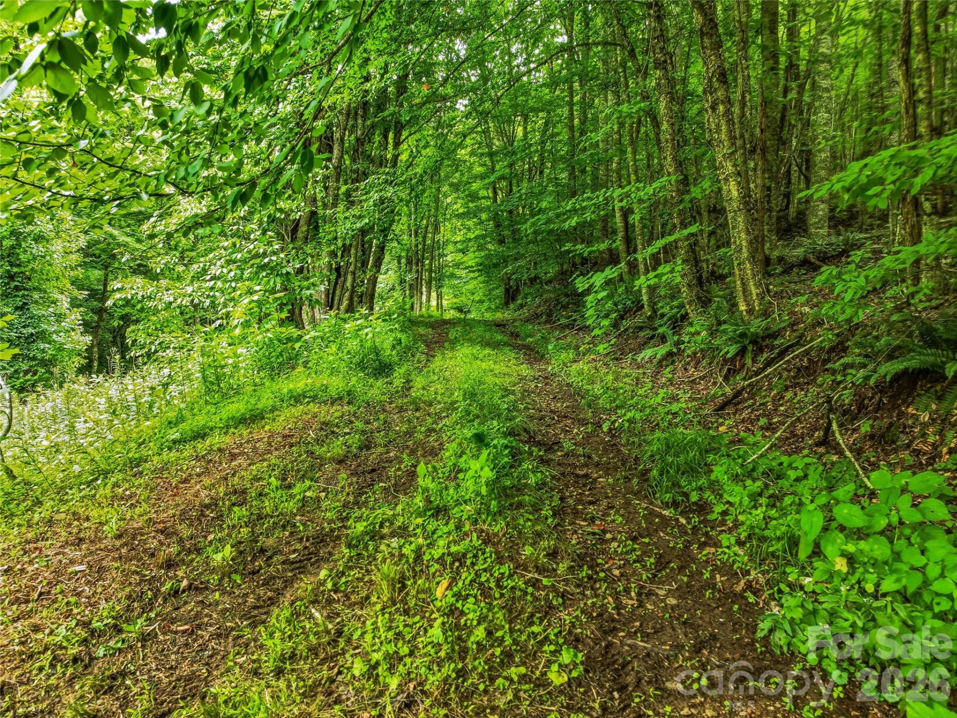 961 Wilson Branch Road - Photo 19