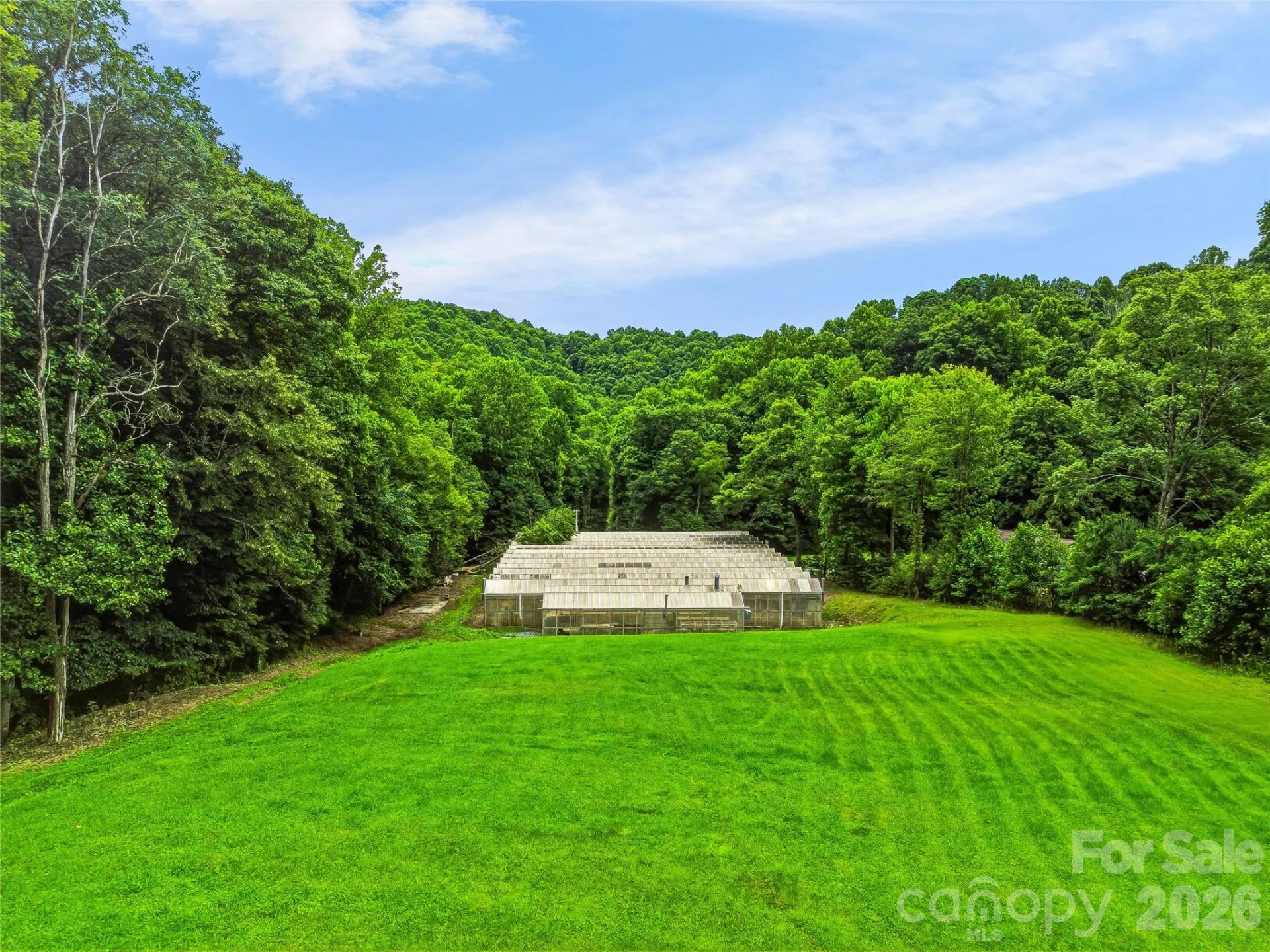 961 Wilson Branch Road - Photo 29