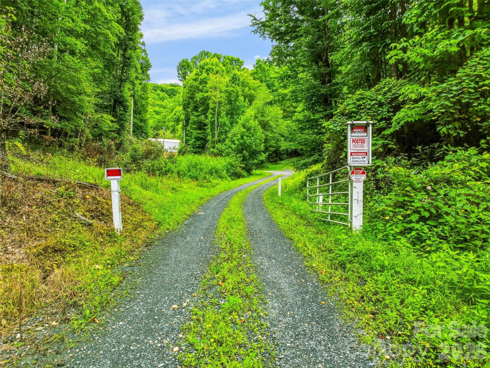 961 Wilson Branch Road - Photo 6