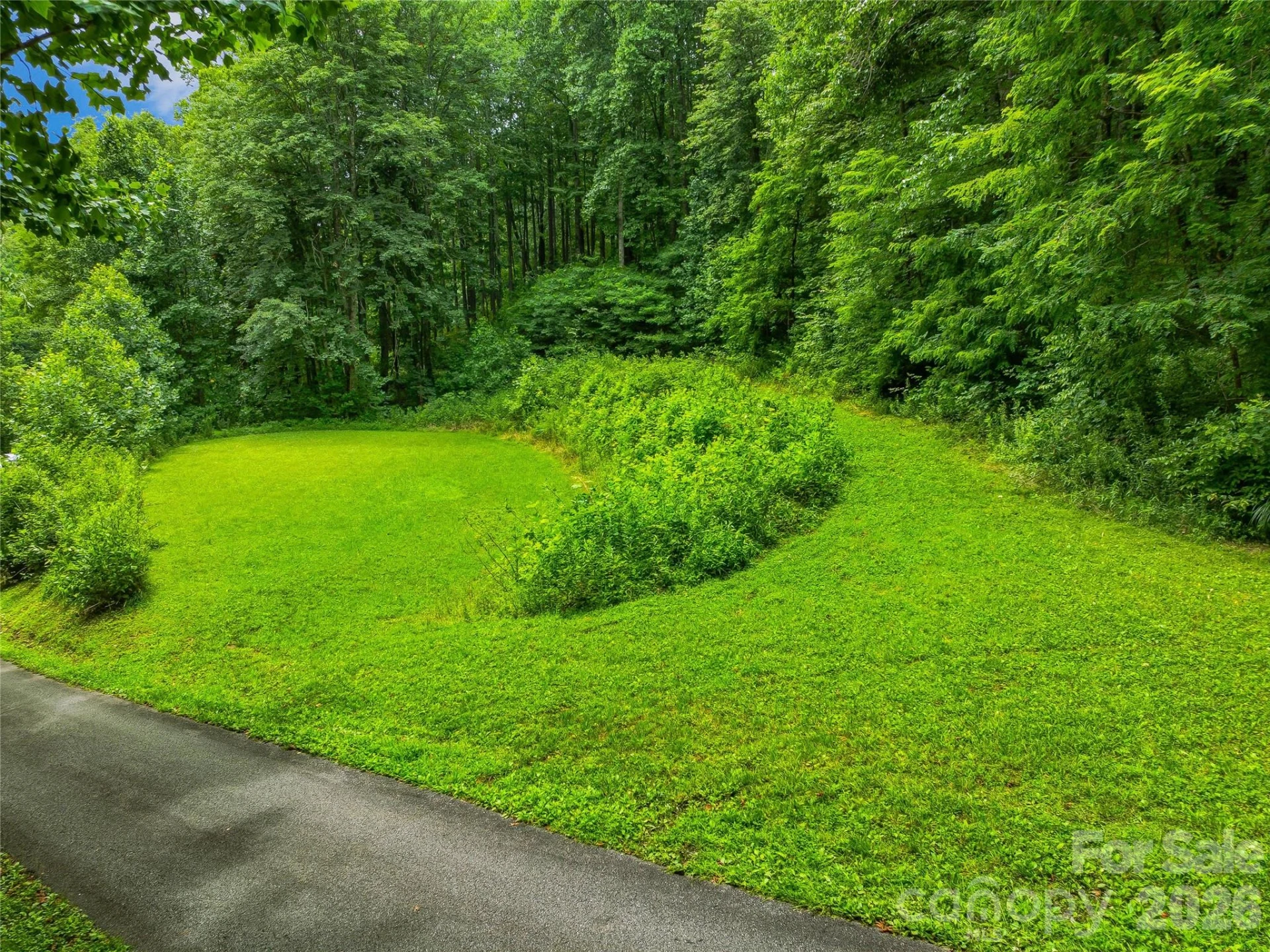 961 Wilson Branch Road - Photo 7