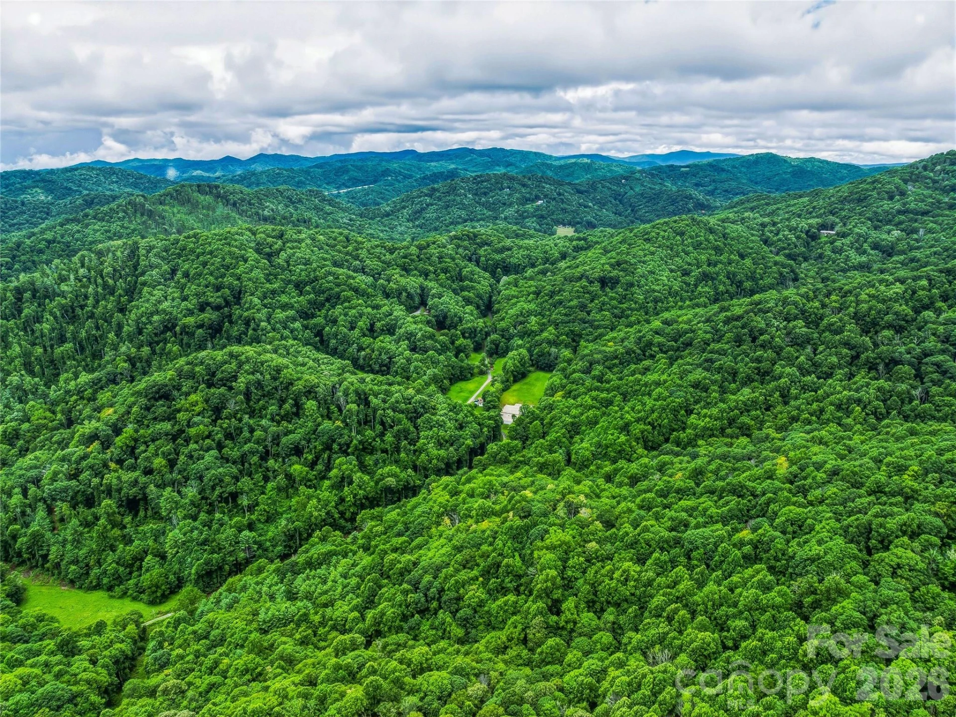 961 Wilson Branch Road - Photo 8