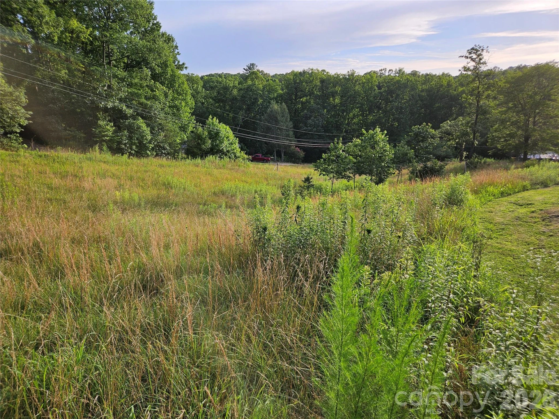 516 John Swofford Road - Photo 5