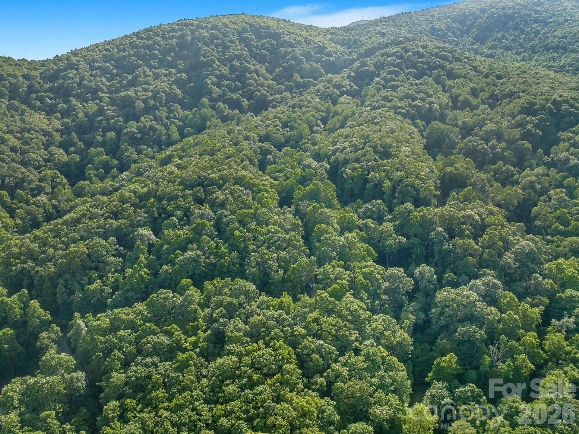 8 Carls Cove Road - Photo 11