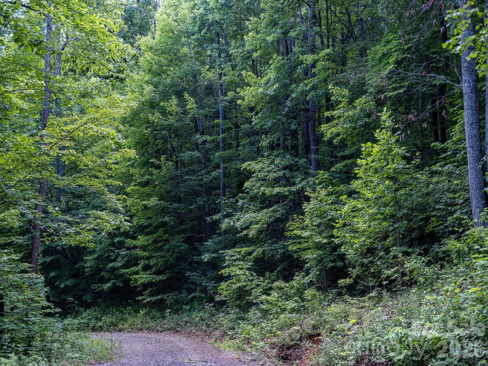 8 Carls Cove Road - Photo 15