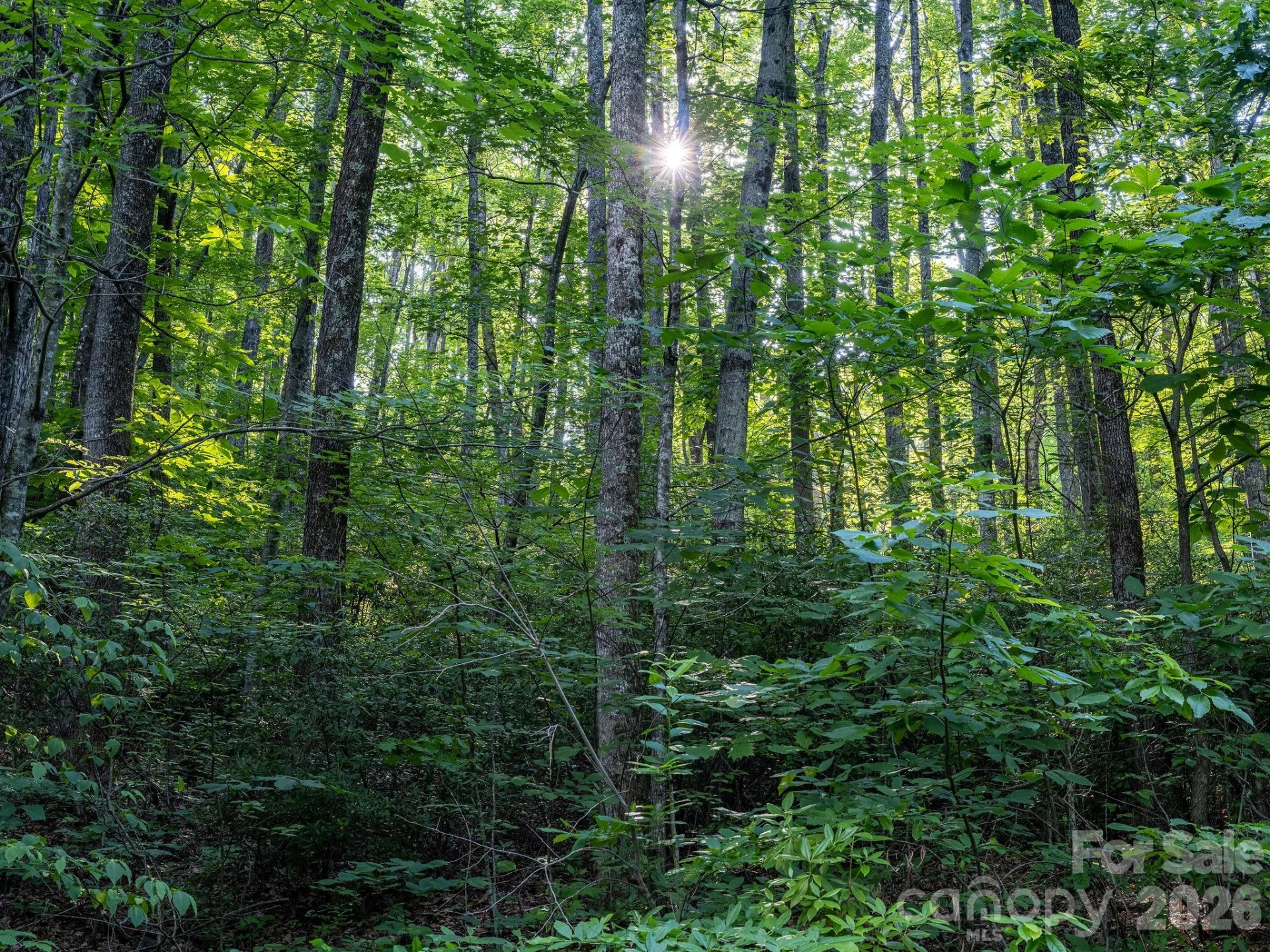 8 Carls Cove Road - Photo 20