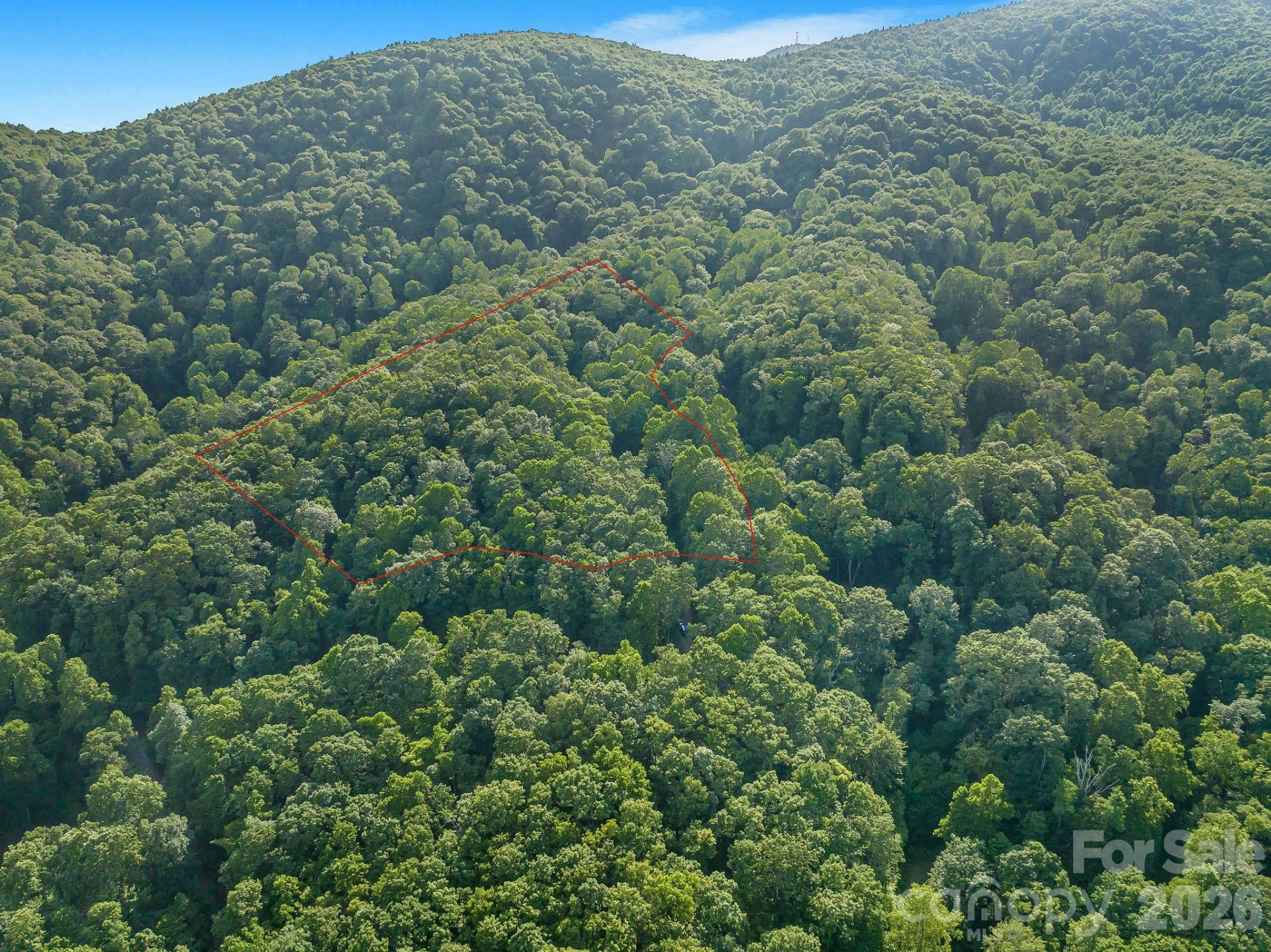 8 Carls Cove Road - Photo 3