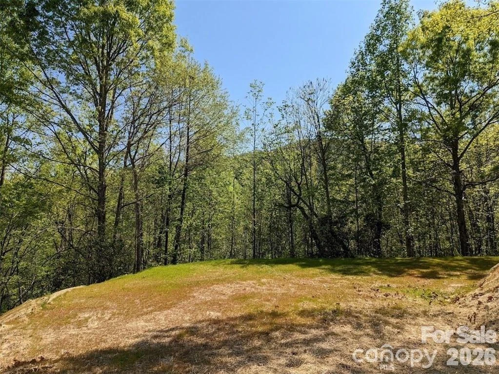 171 Nuthatch Lane #C-30 - Photo 5