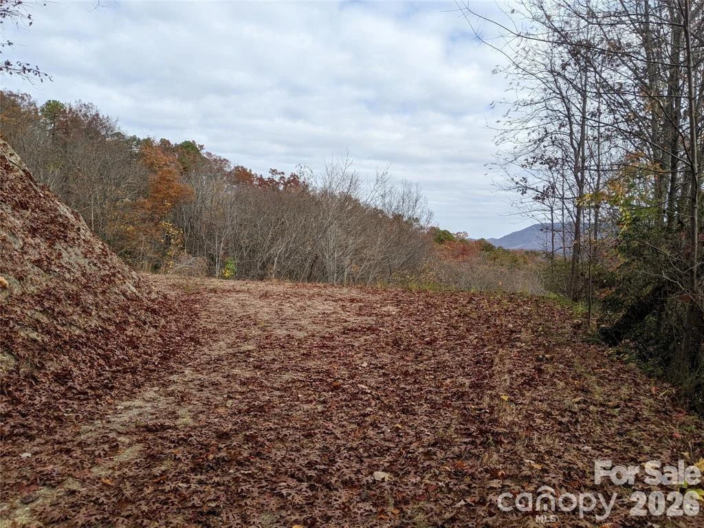 171 Nuthatch Lane #C-30 - Photo 6