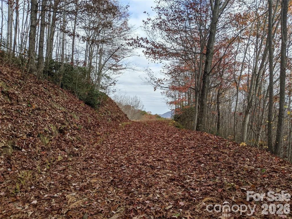 171 Nuthatch Lane #C-30 - Photo 8