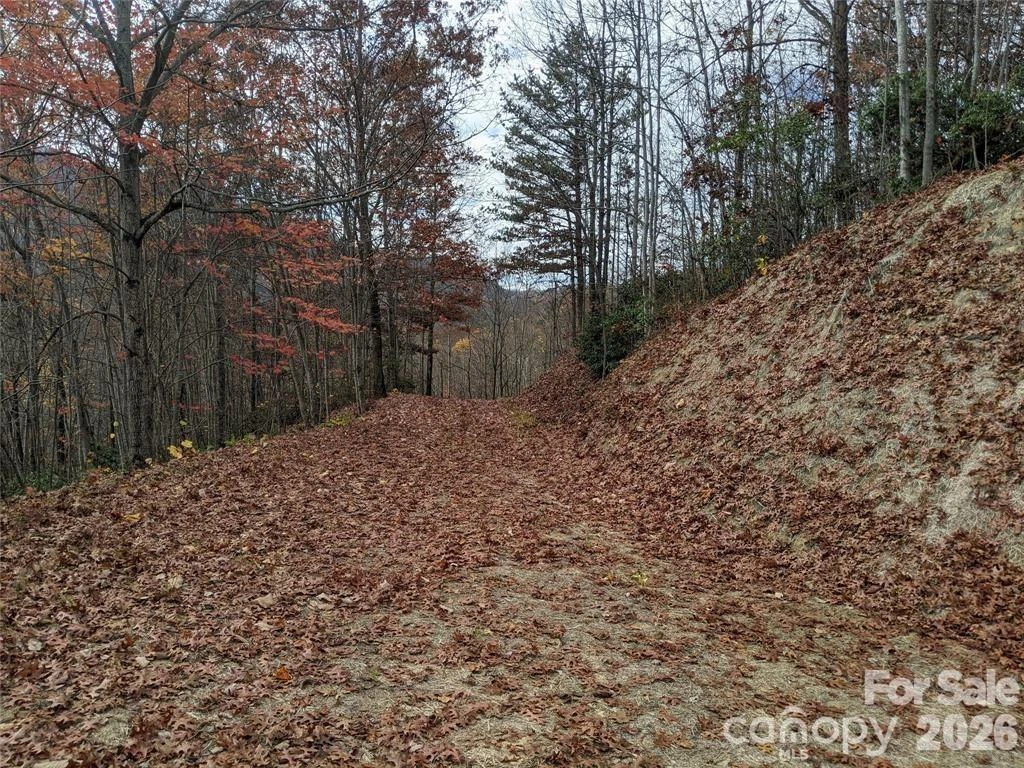171 Nuthatch Lane #C-30 - Photo 9