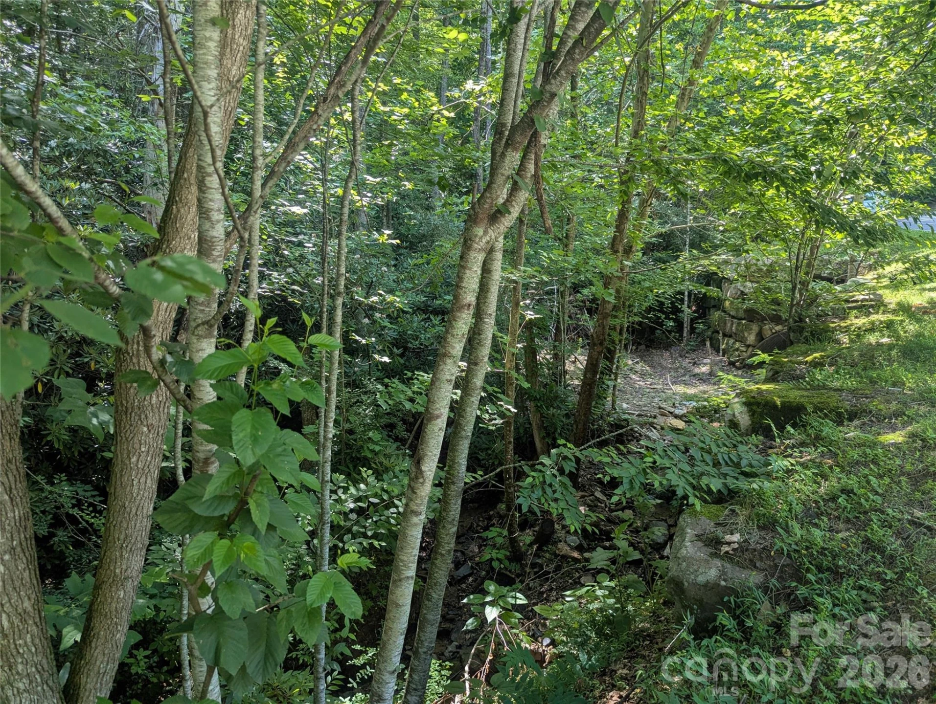 46 Settings Boulevard #139 - Photo 11