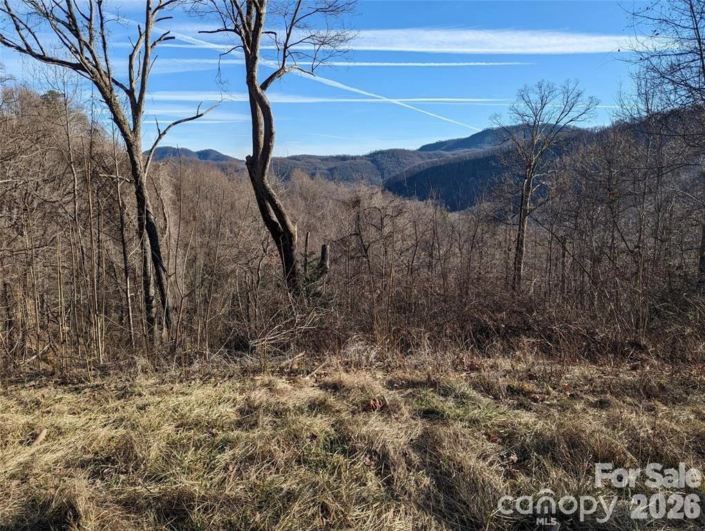 117 Ironwood Lane #C-20 - Photo 3