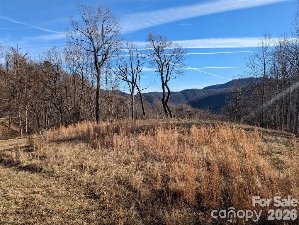 117 Ironwood Lane #C-20 - Photo 4