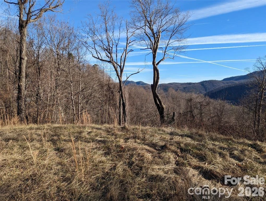 117 Ironwood Lane #C-20 - Photo 5
