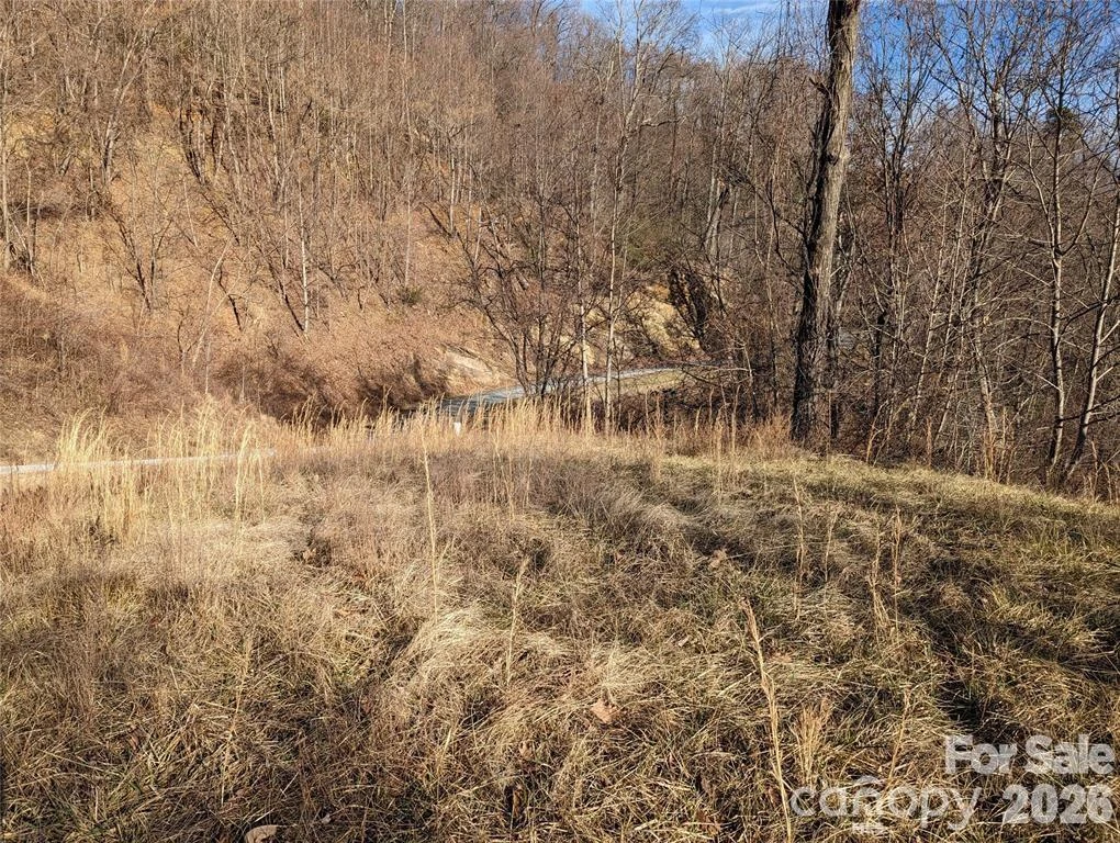 117 Ironwood Lane #C-20 - Photo 6