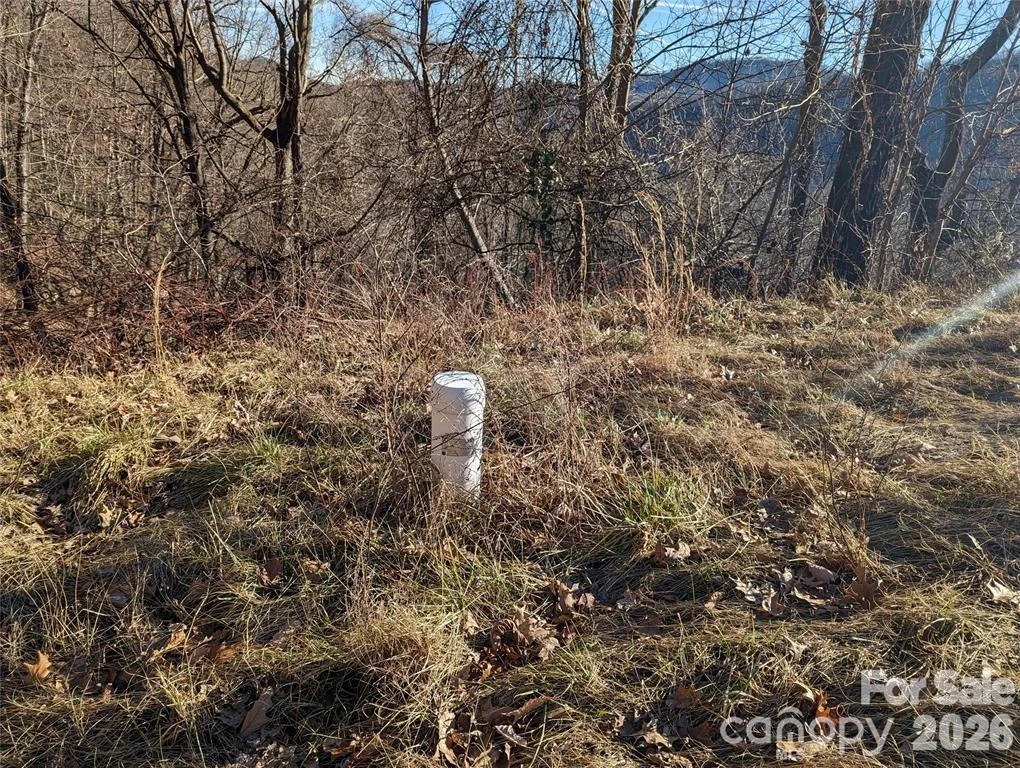 117 Ironwood Lane #C-20 - Photo 8