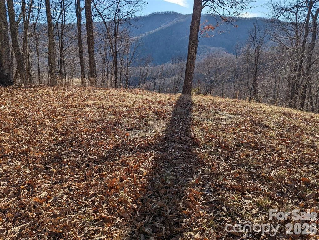 367 Kestrel Lane #T-85 - Photo 2