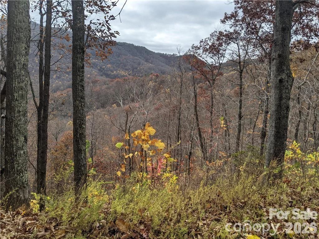 367 Kestrel Lane #T-85 - Photo 13