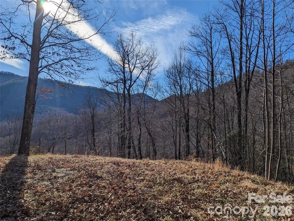 367 Kestrel Lane #T-85 - Photo 5