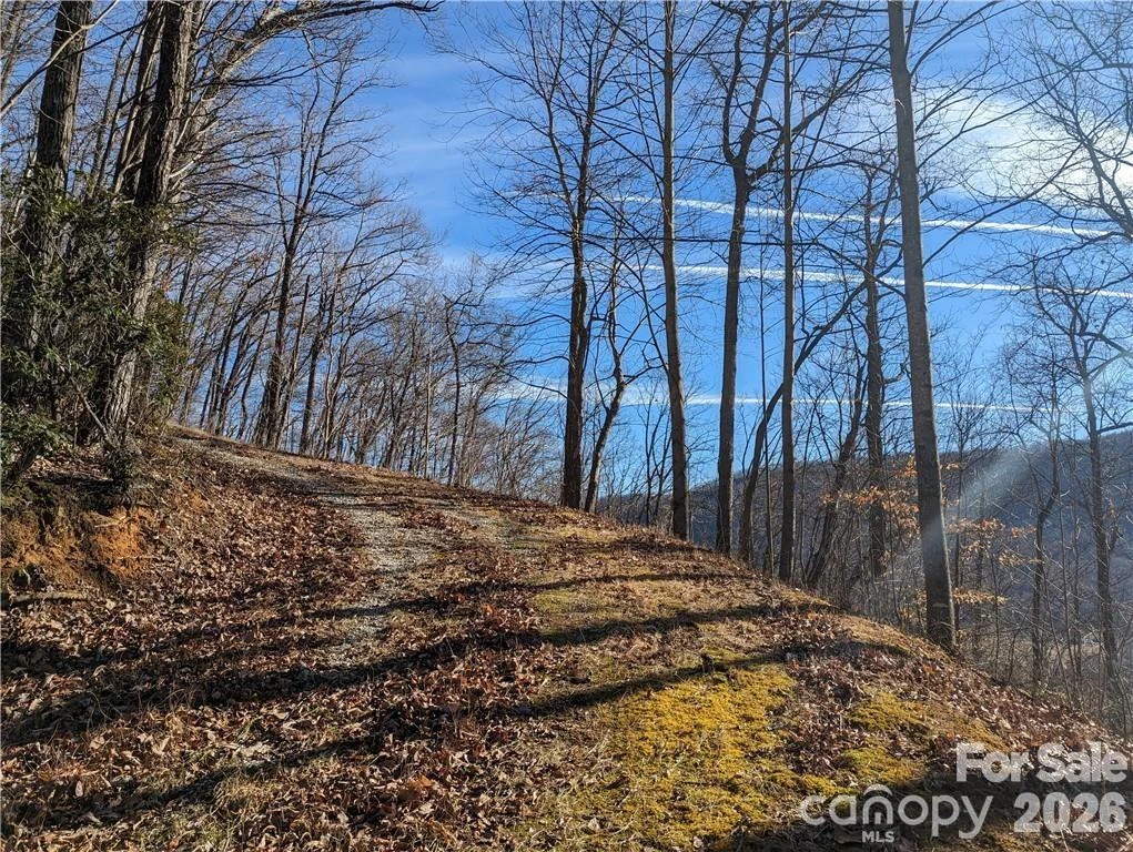 367 Kestrel Lane #T-85 - Photo 6