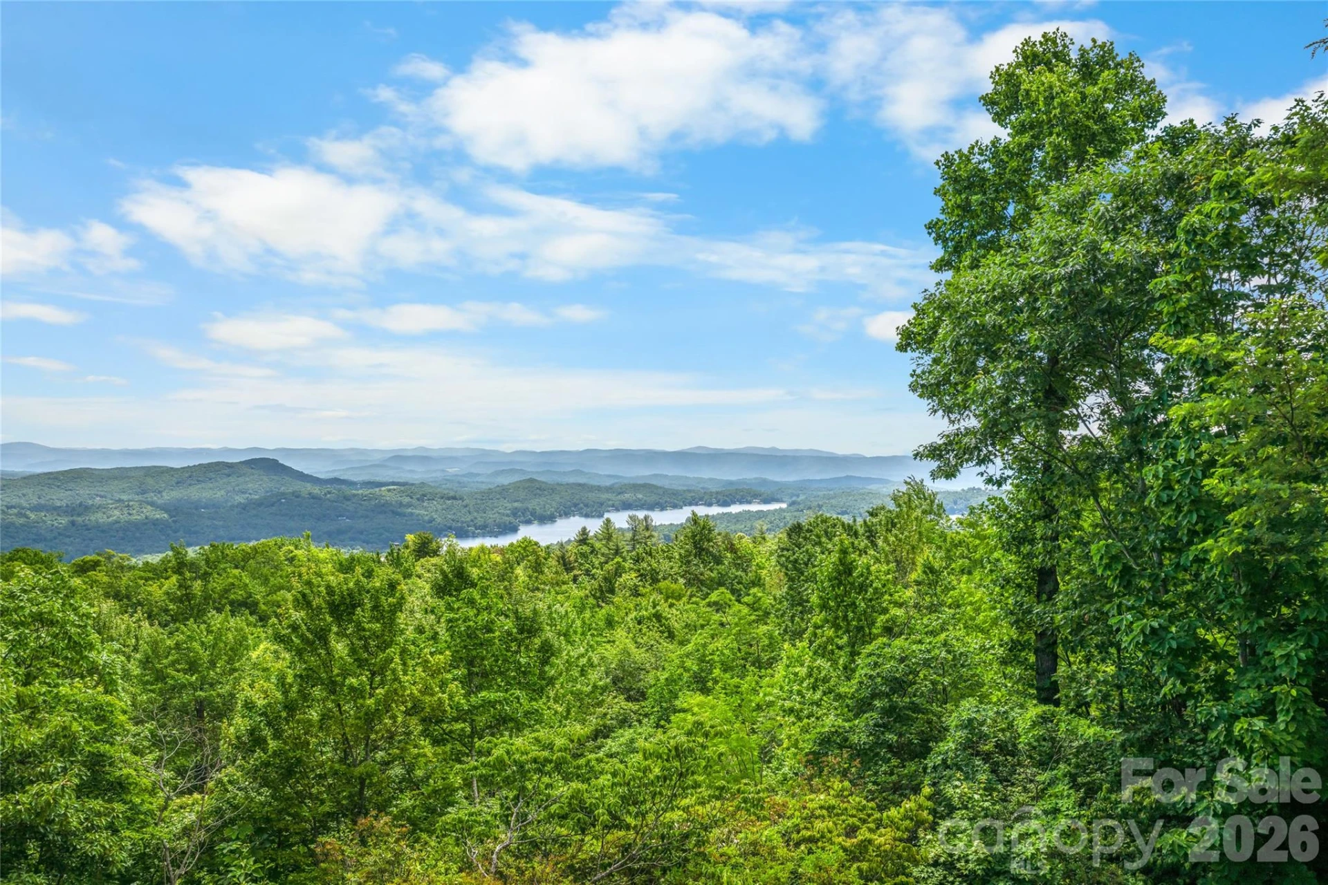 100 Meadow Ridge Drive - Photo 29