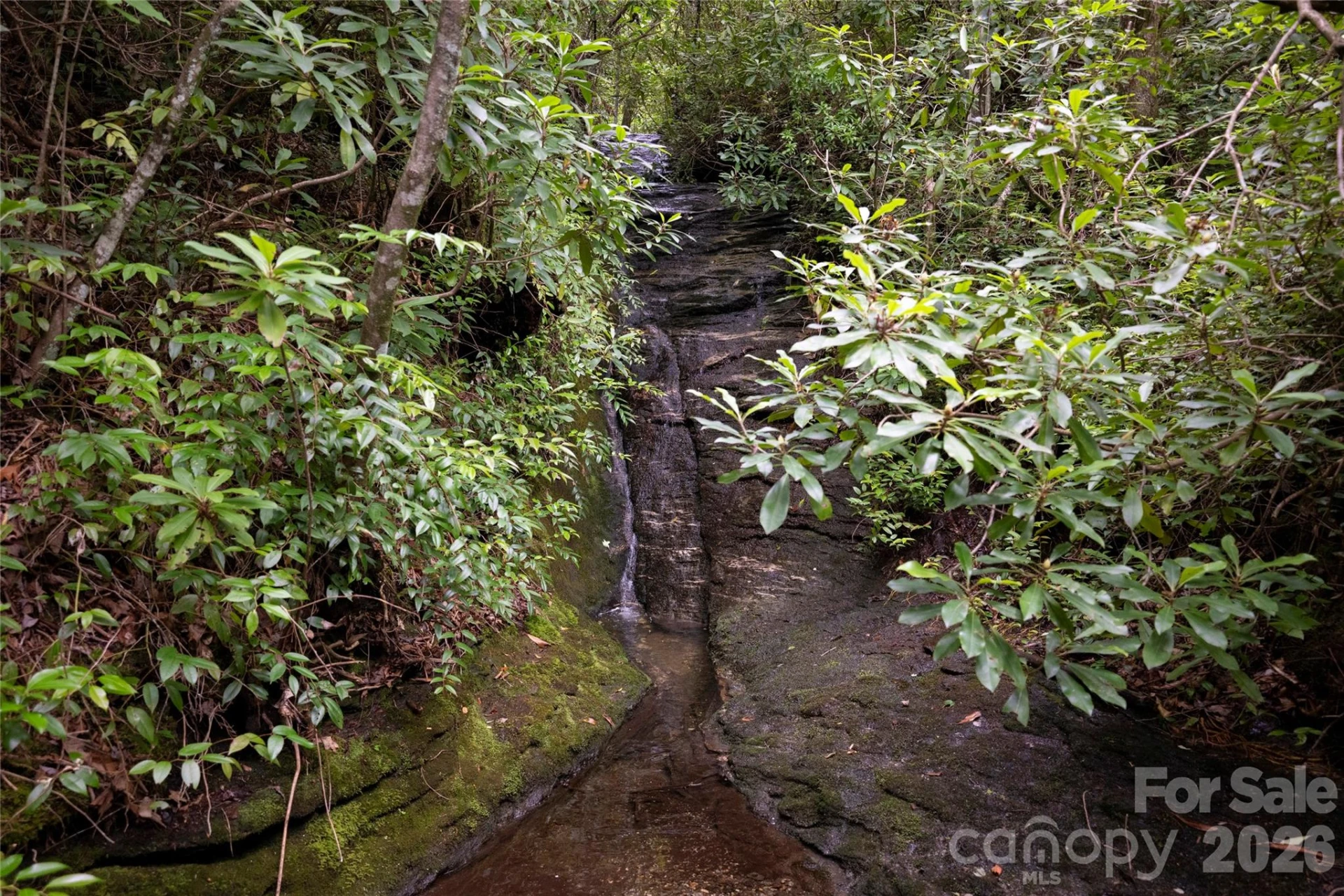 100 Meadow Ridge Drive - Photo 43