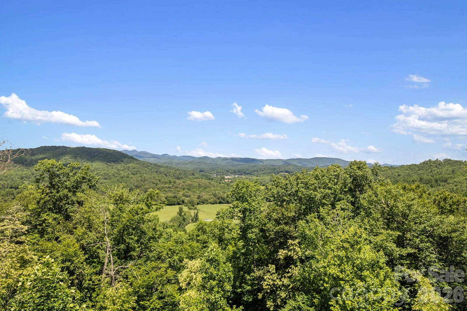 376 Stoney Brook Road - Photo 3