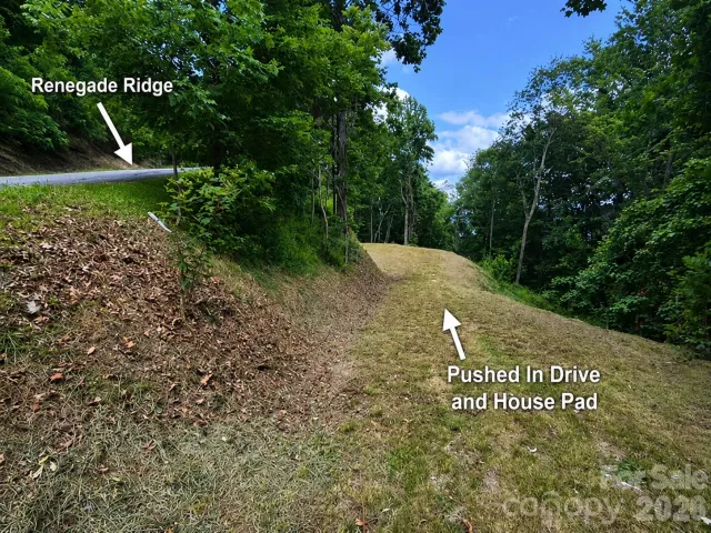 175 Renegade Ridge