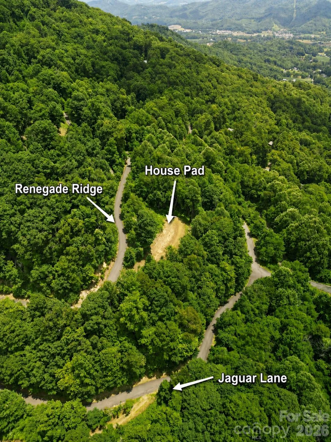 175 Renegade Ridge - Photo 12