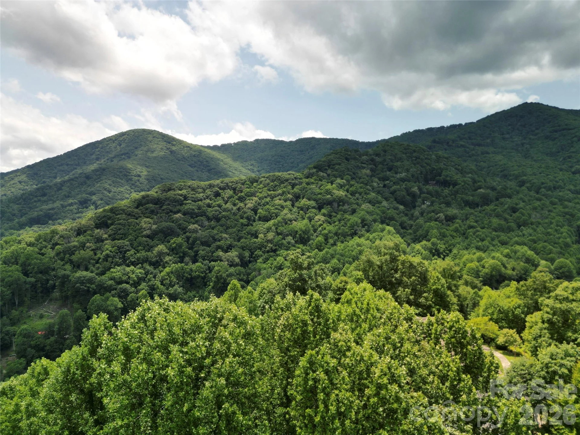 175 Renegade Ridge - Photo 16