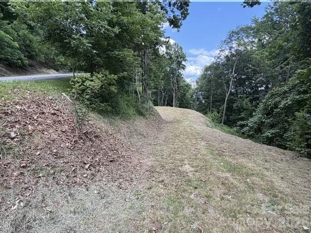 175 Renegade Ridge - Photo 4