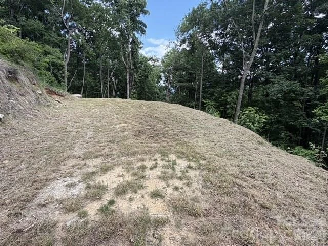 175 Renegade Ridge - Photo 5