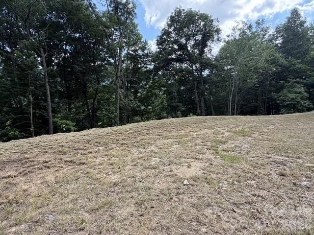 175 Renegade Ridge - Photo 6