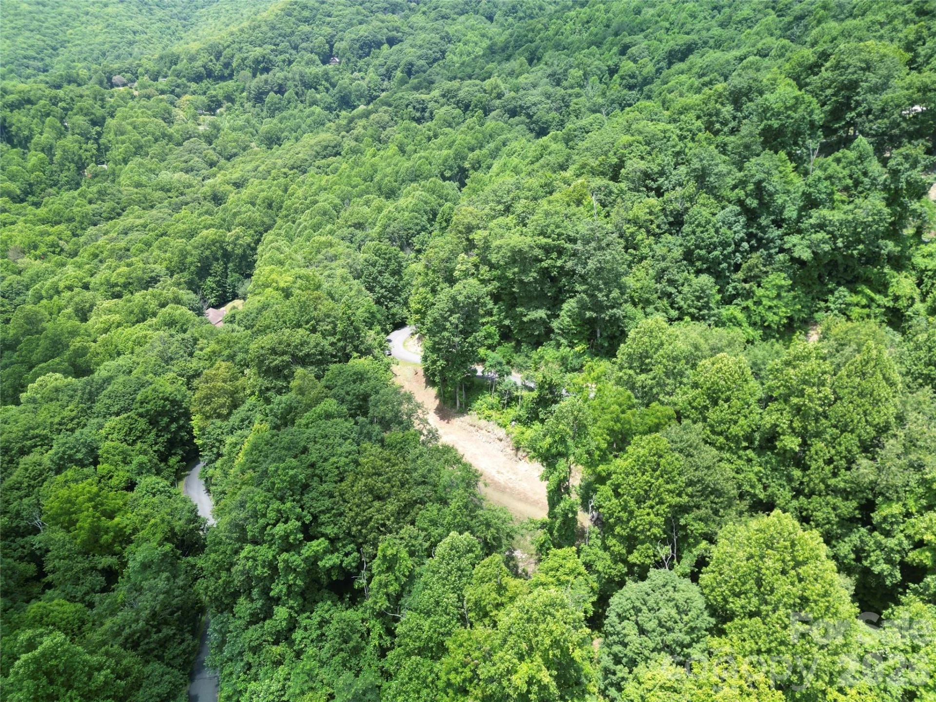 175 Renegade Ridge - Photo 10