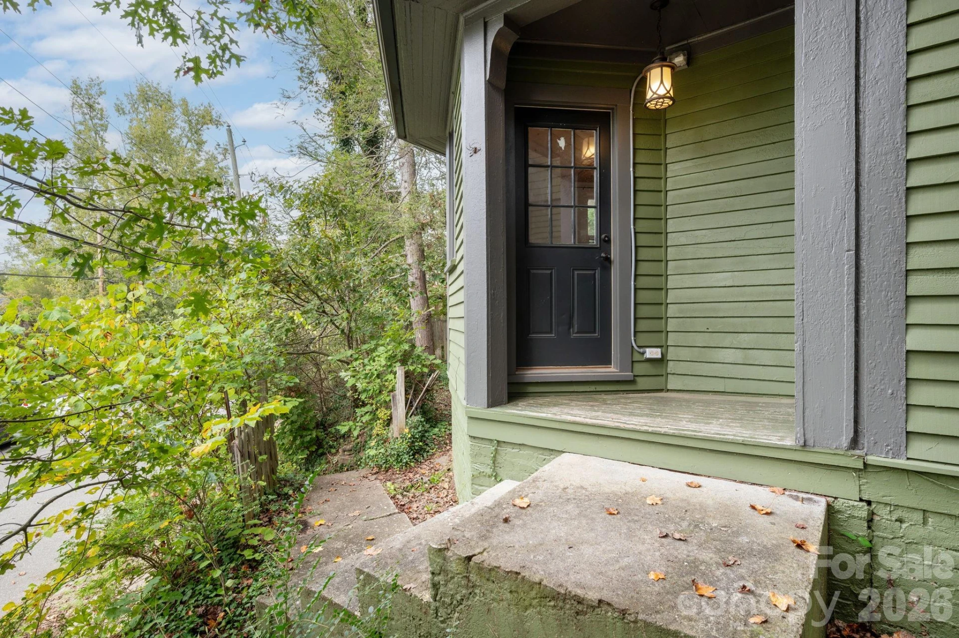 11 Cullowhee Street - Photo 29