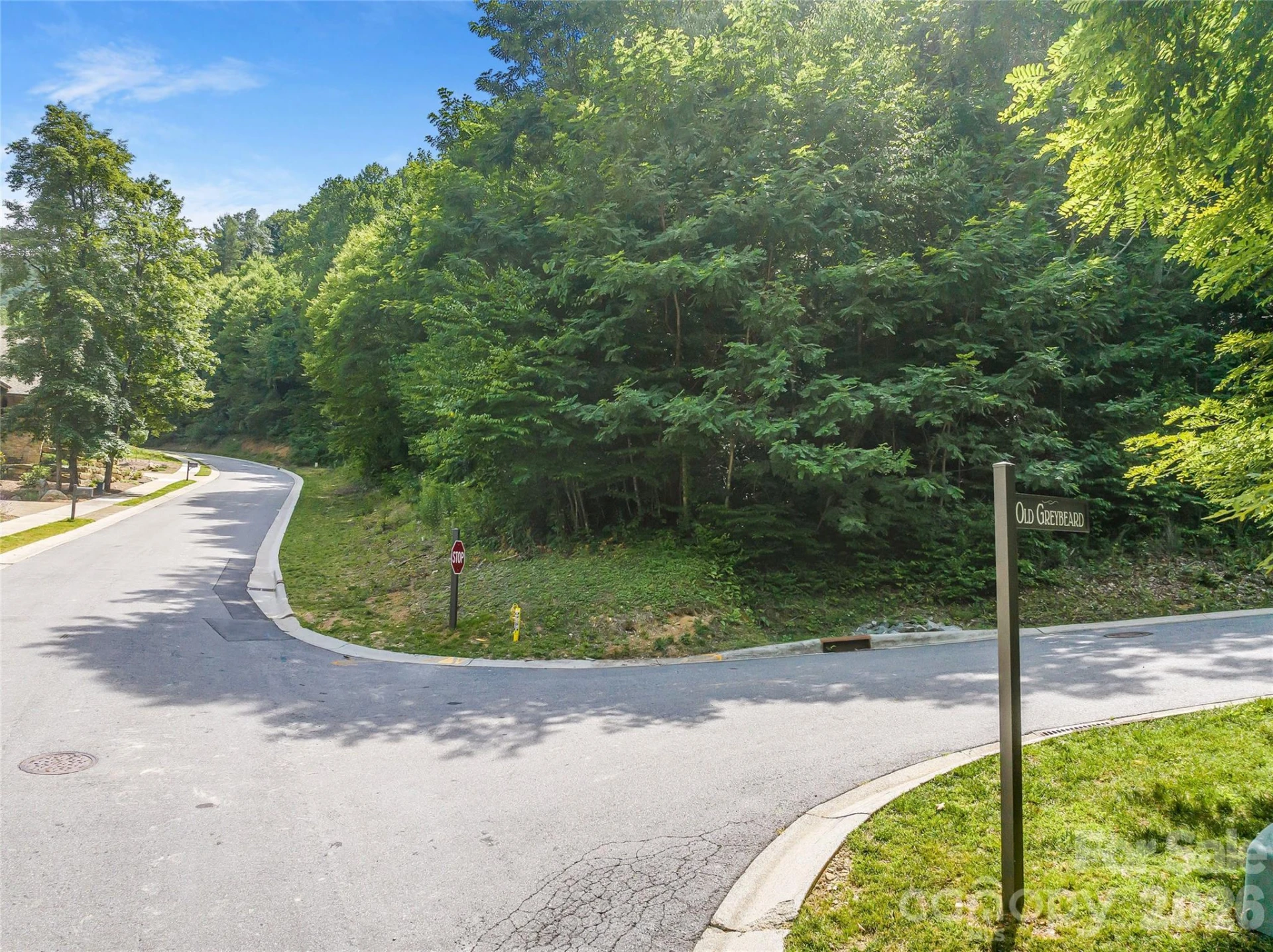 53 Old Lafayette Lane - Photo 4