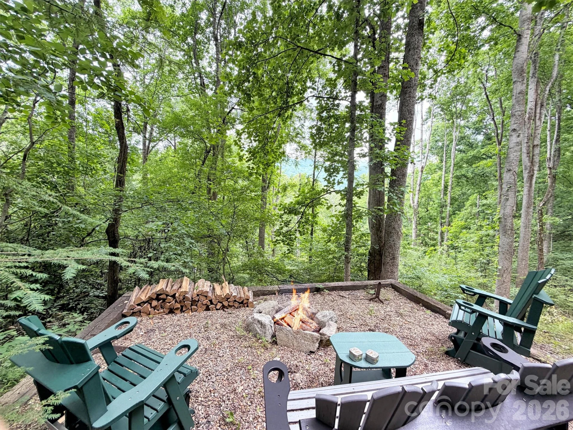 245 Greenview Drive - Photo 38
