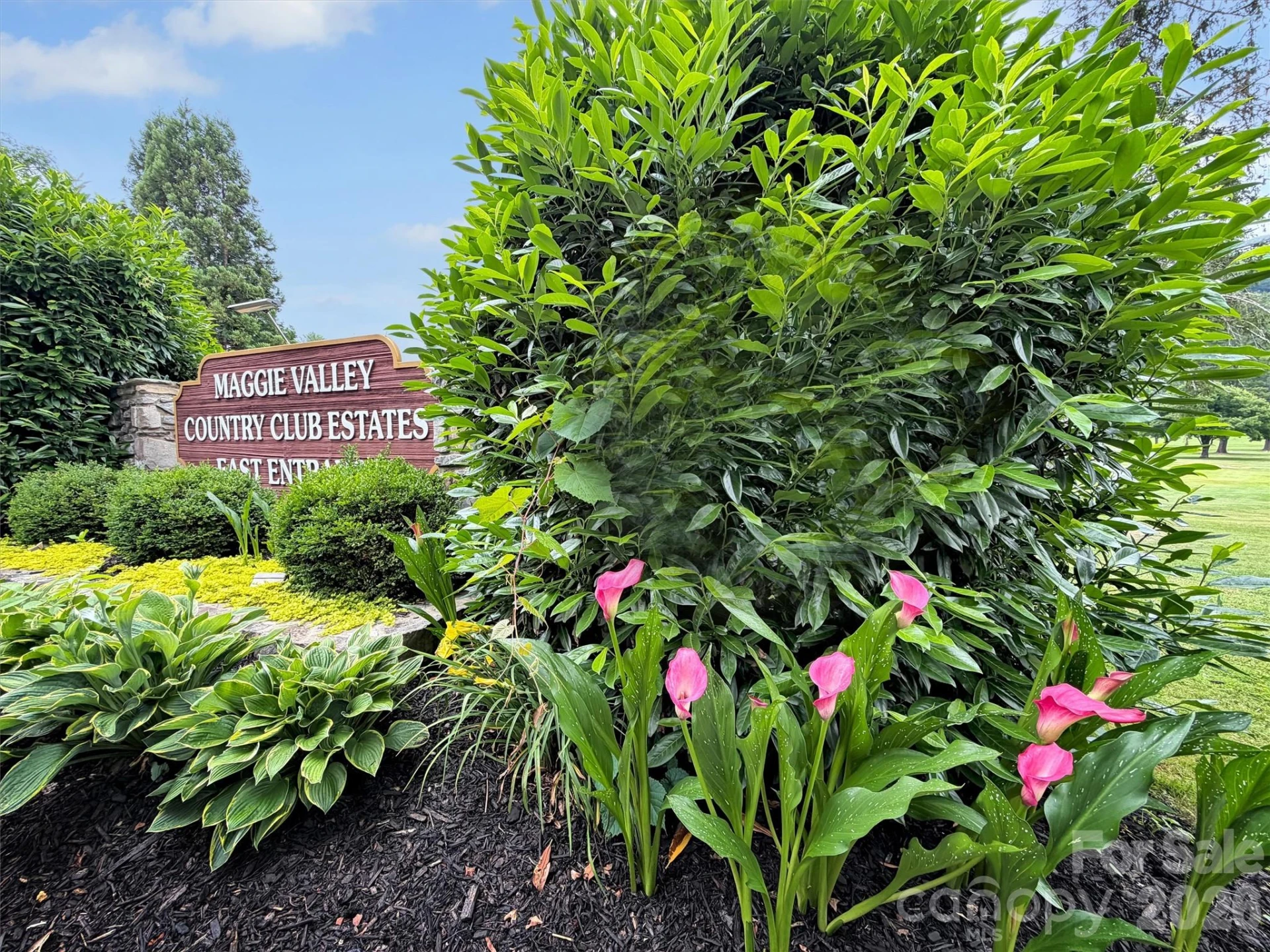 245 Greenview Drive - Photo 42