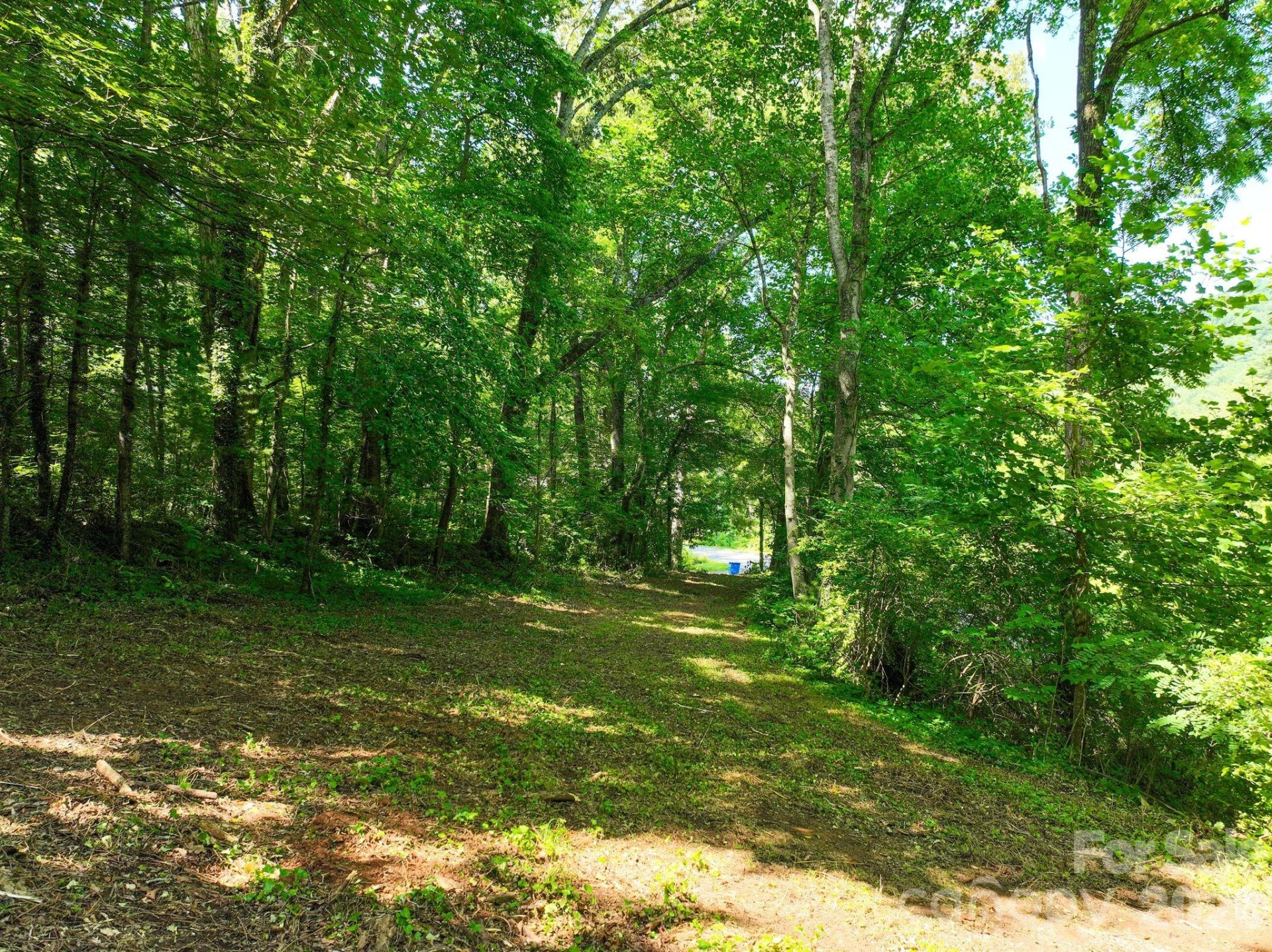 353 Chunns Cove Road - Photo 2