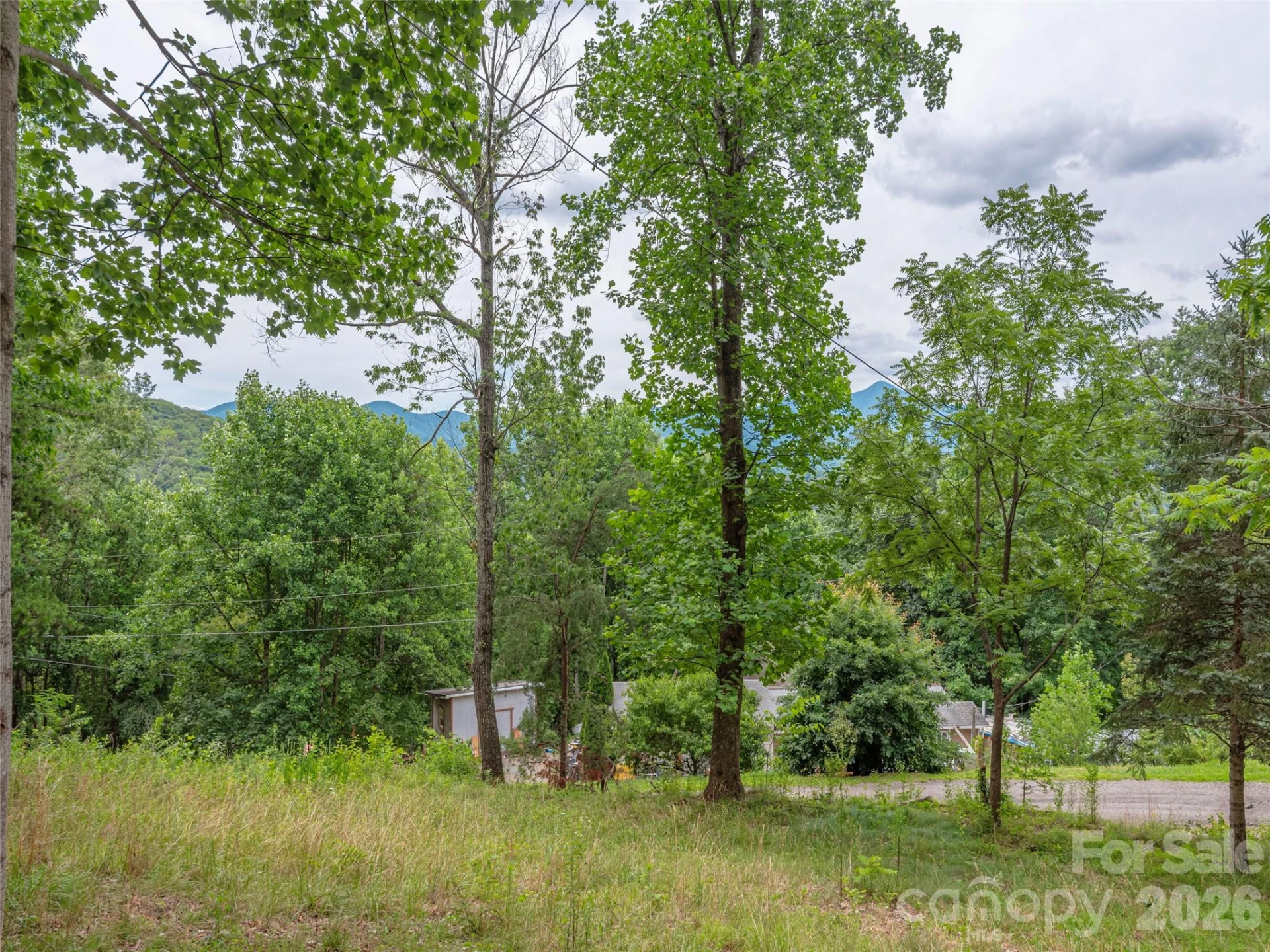 87 Holly Ridge Road - Photo 4
