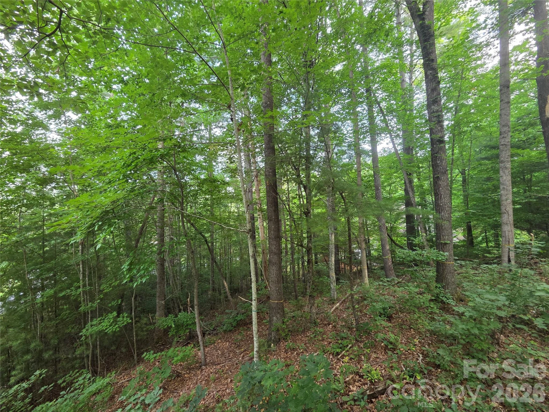 16 Courseview Drive - Photo 3