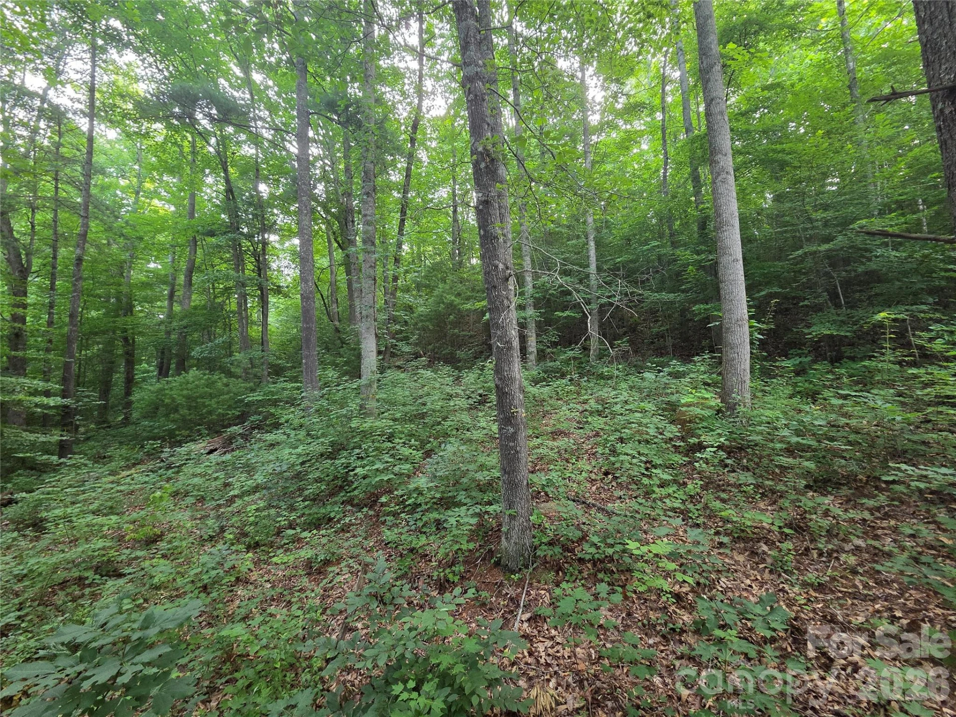 16 Courseview Drive - Photo 4