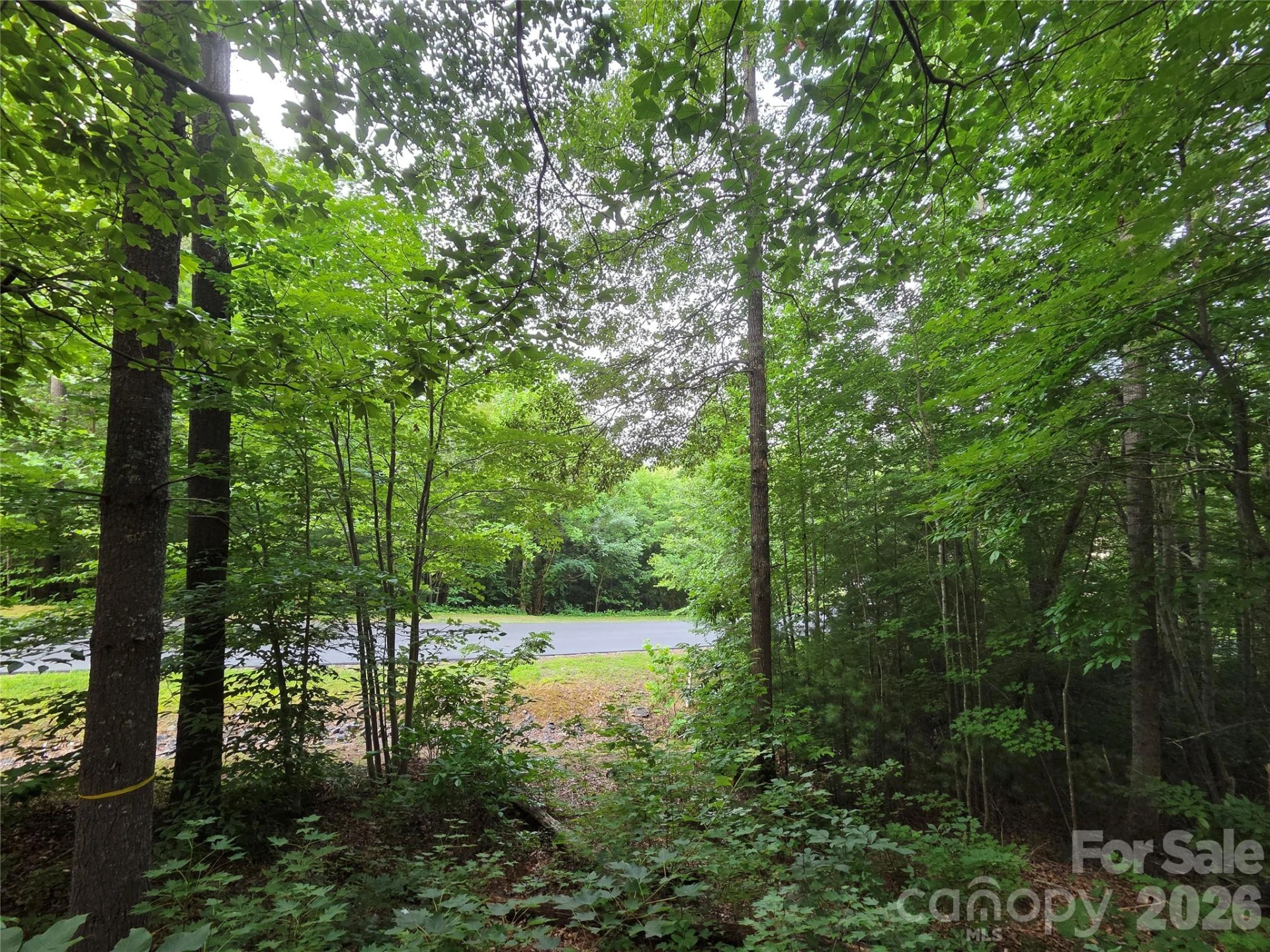 16 Courseview Drive - Photo 6